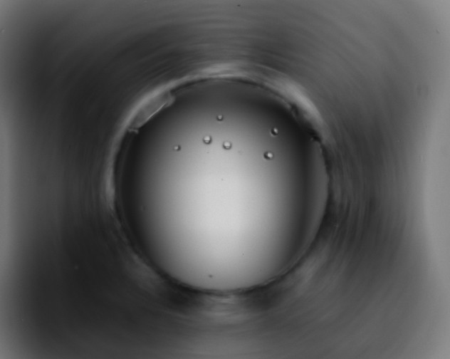 X0000092241328200709211036
