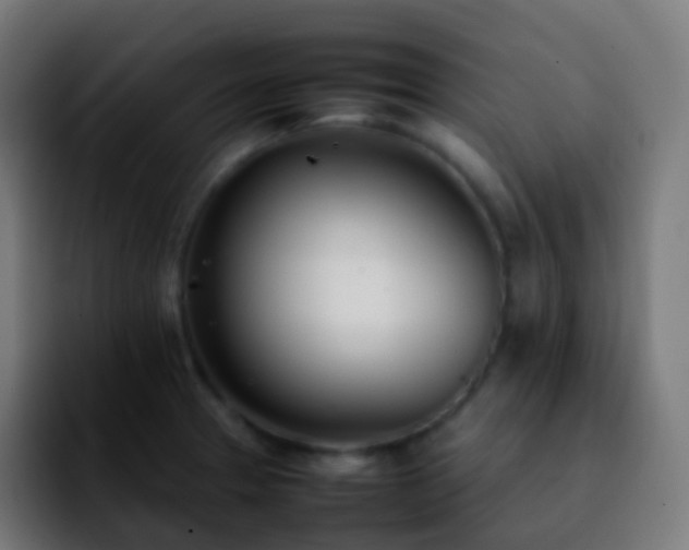 X0000092241329200709211036