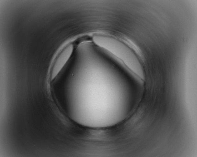 X0000092241332200709211036