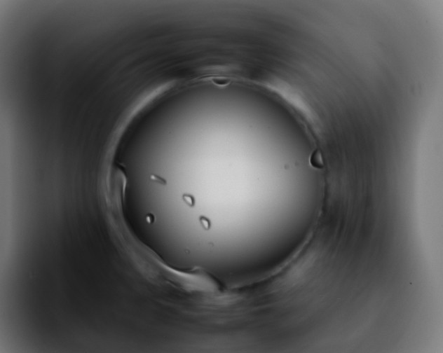 X0000092241333200709211036