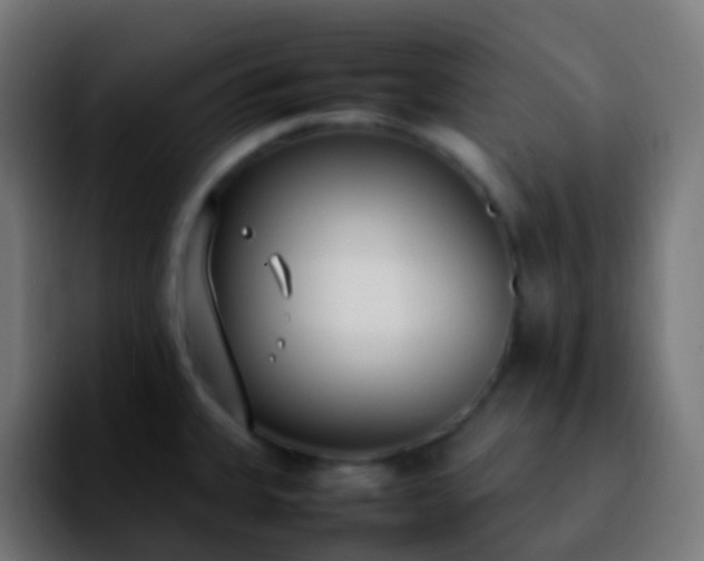 X0000092241335200709211036