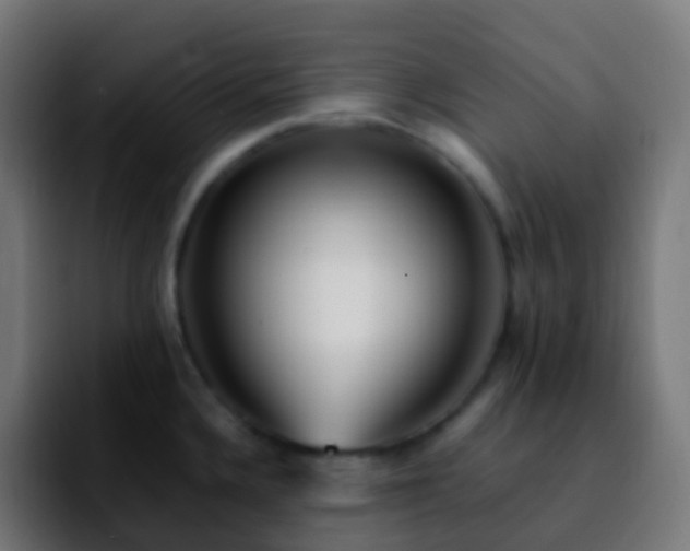 X0000092241336200709211036