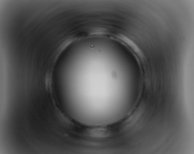 X0000092241337200709211036