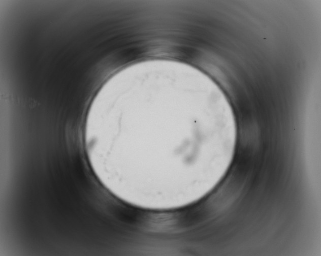 X0000092241338200709211036