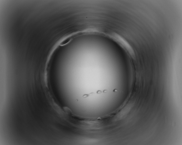 X0000092241340200709211037