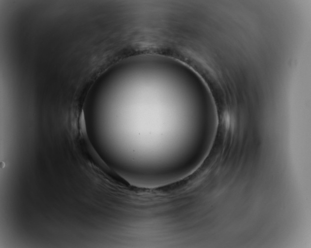 X0000092241348200709211036