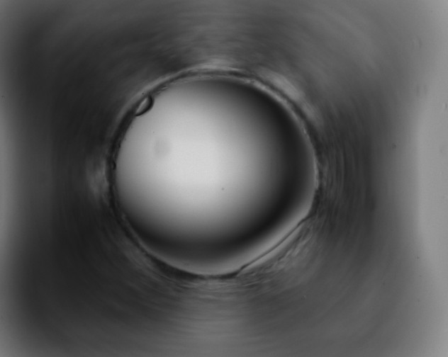 X0000092241356200709211036