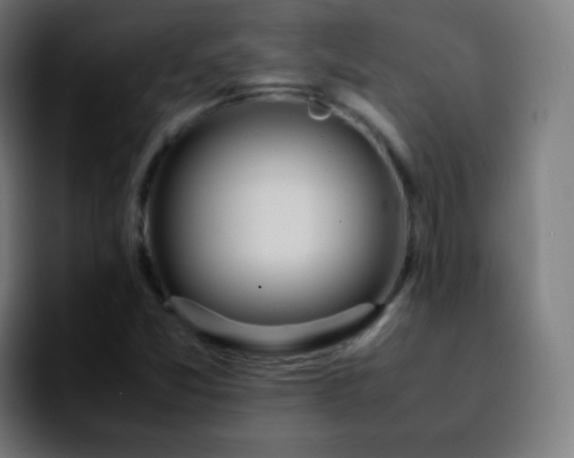 X0000092241357200709211036