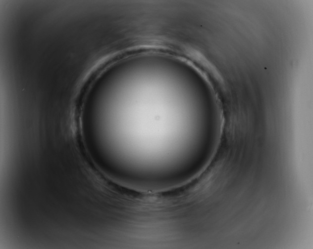 X0000092241360200709211036