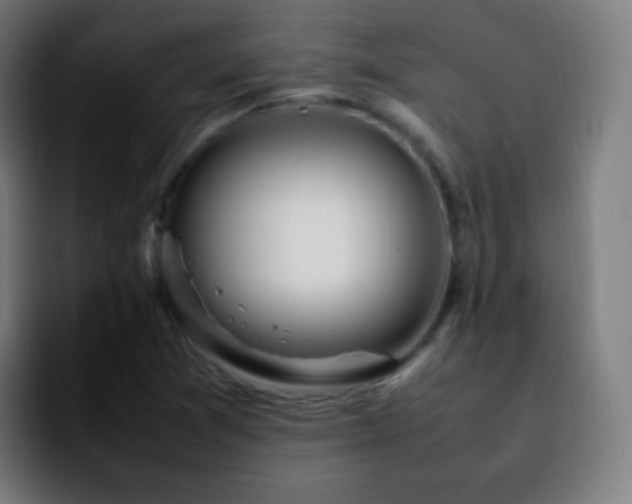 X0000092241361200709211036