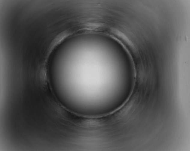 X0000092241362200709211036
