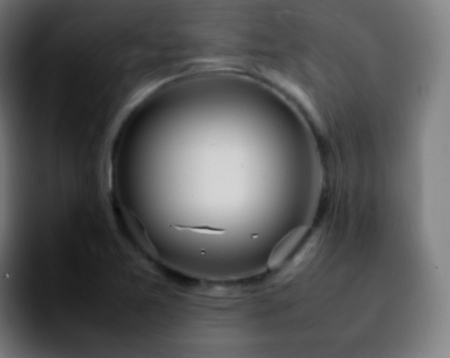 X0000092241365200709211036