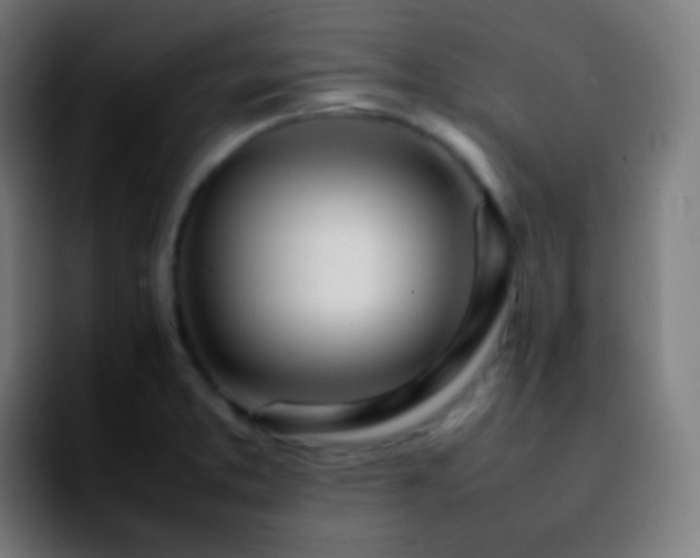 X0000092241373200709211036