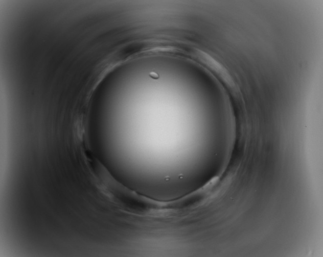 X0000092241377200709211036