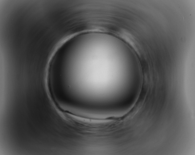 X0000092241379200709211036
