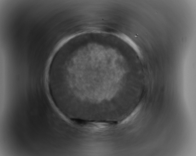 X0000092241381200709211036