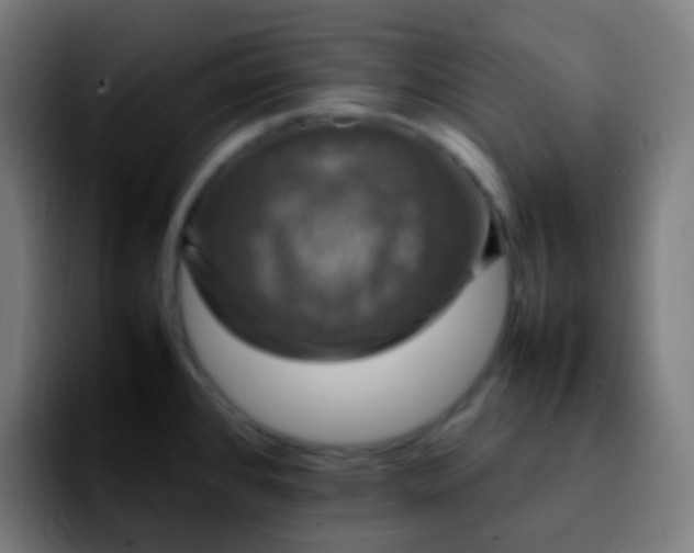 X0000092241384200709211036