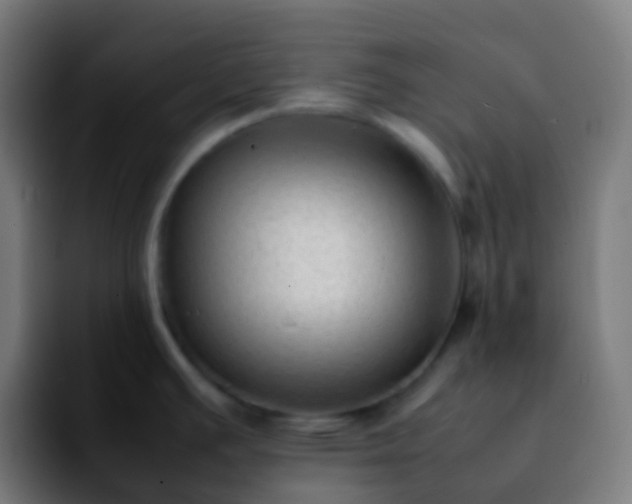 X0000092241391200709211035
