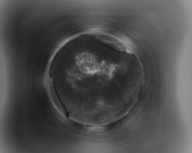 X0000092241392200709211035