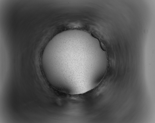 X0000092241393200709211035