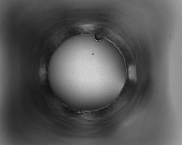 X0000092241395200709211035
