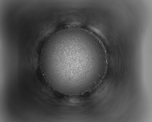 X0000092241399200709211035