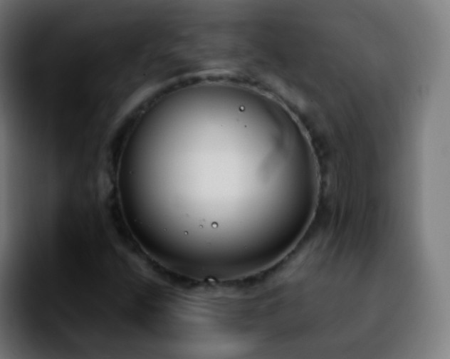 X0000092241400200709211035
