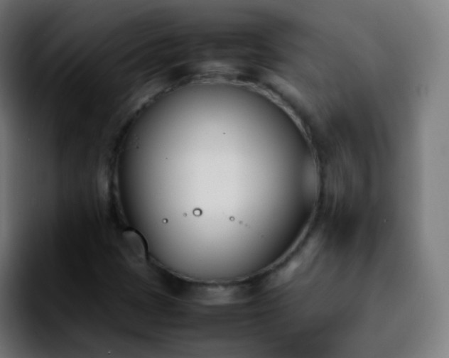X0000092241401200709211035