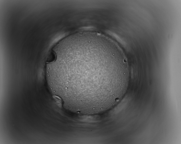 X0000092241405200709211035