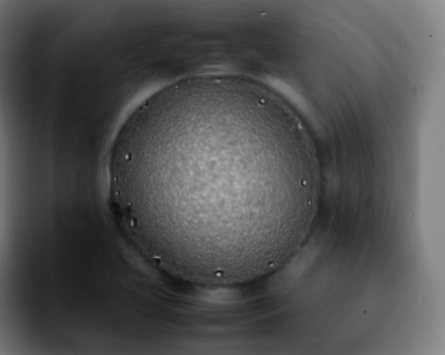 X0000092241413200709211035
