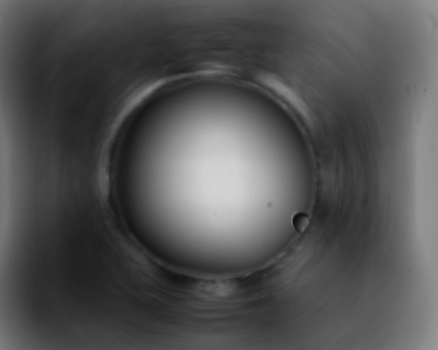 X0000092241415200709211035