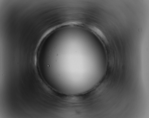 X0000092241420200709211035