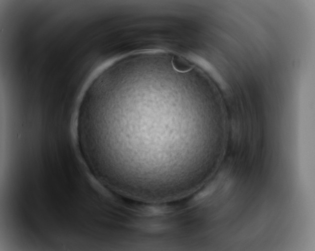 X0000092241421200709211035