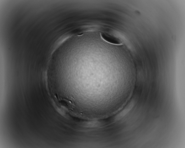X0000092241425200709211035
