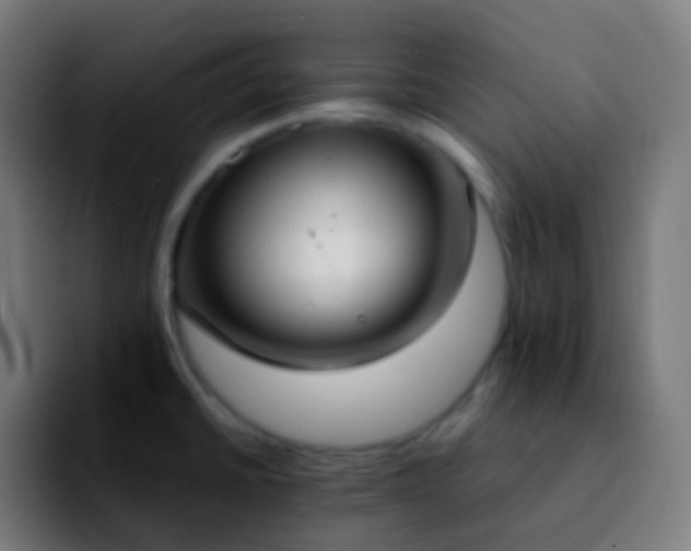 X0000092241430200709211035