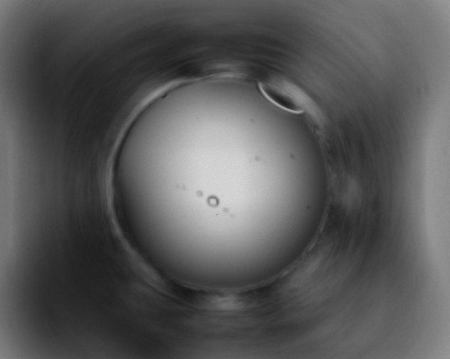 X0000092241431200709211035