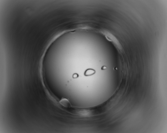 X0000092241439200709211035