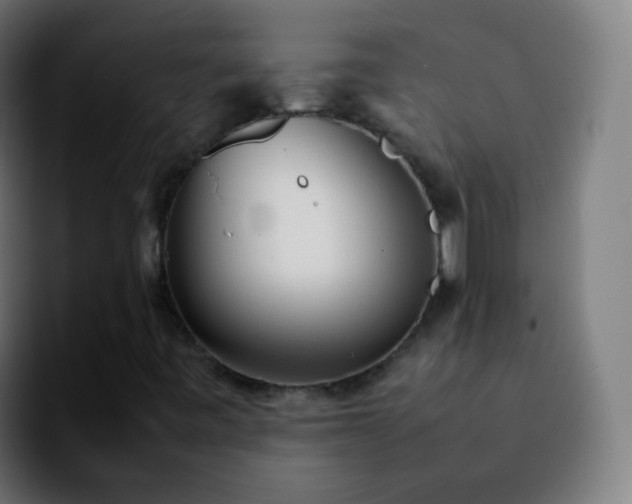 X0000092241443200709211035