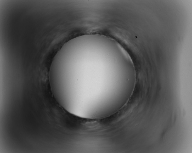 X0000092241447200709211035