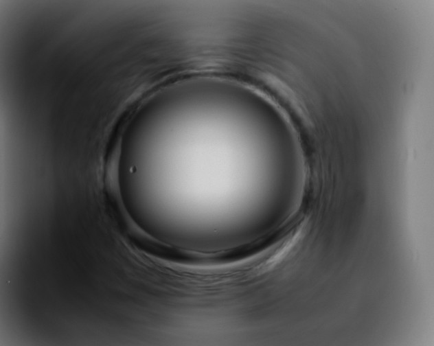 X0000092241449200709211035