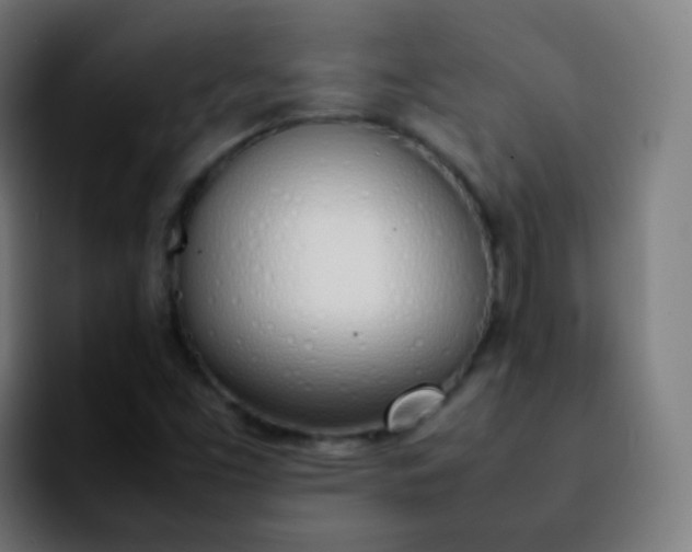 X0000092241453200709211035
