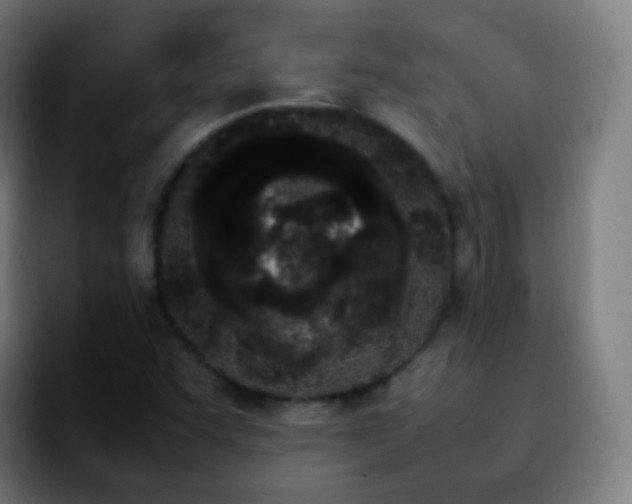 X0000092241455200709211035