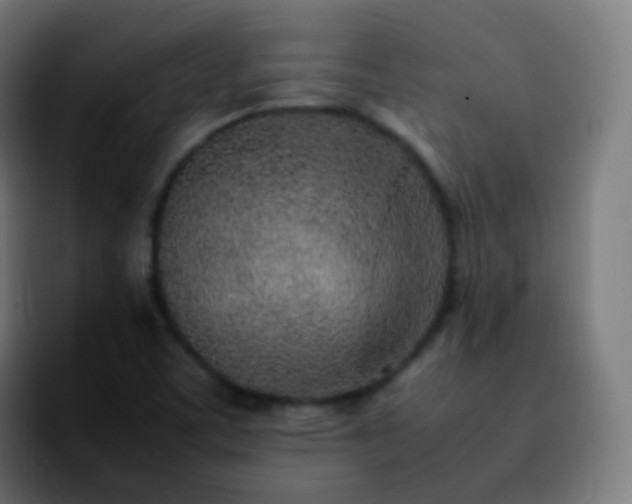 X0000092241459200709211035