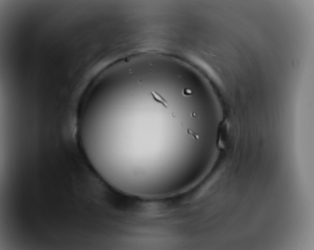 X0000092241461200709211035