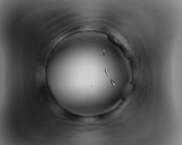 X0000092241465200709211035