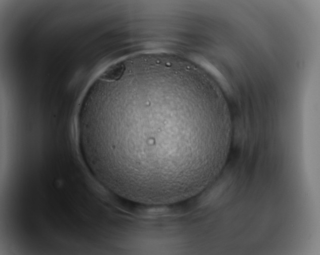 X0000092241467200709211035