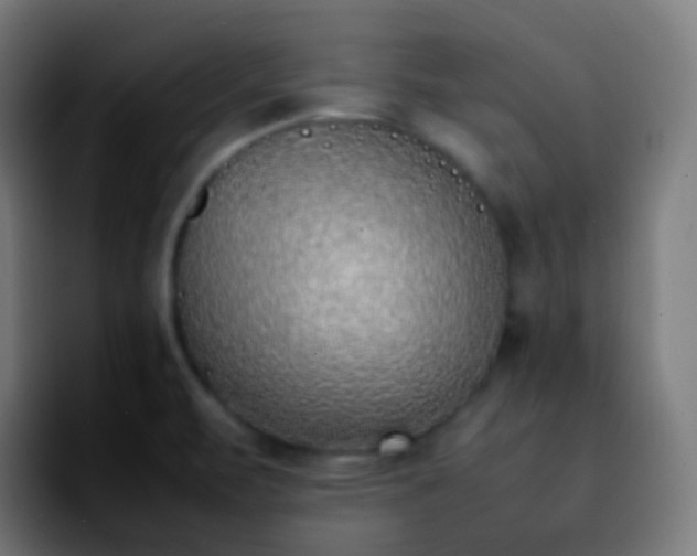 X0000092241471200709211035