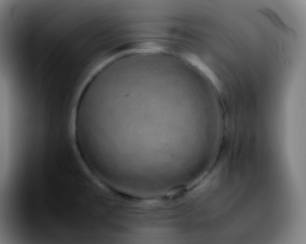 X0000092241477200709211034