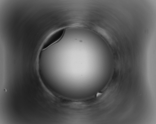 X0000092241479200709211034