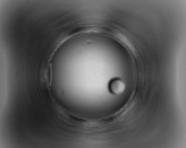 X0000092241481200709211034